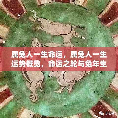 属兔人的命运与一生运势概览,命运之轮与兔年生的同行者