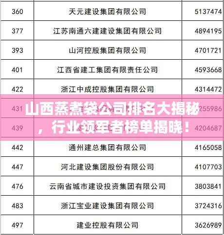 山西蒸煮袋公司排名大揭秘,行业领军者榜单揭晓!