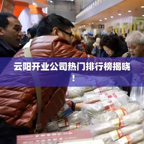 云阳开业公司热门排行榜揭晓!