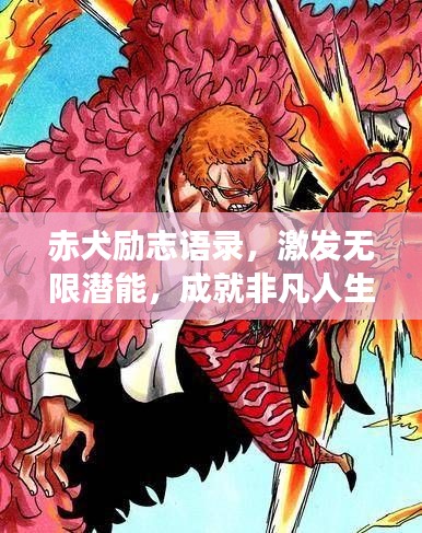 赤犬励志语录,激发无限潜能,成就非凡人生!