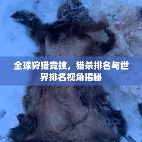 全球狩猎竞技,猎杀排名与世界排名视角揭秘