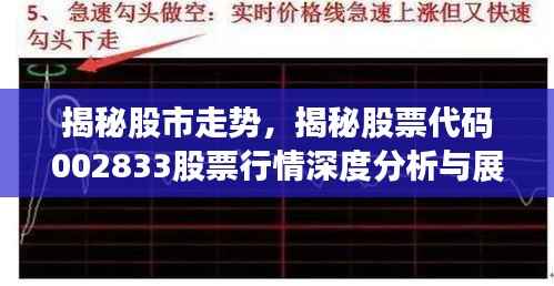 揭秘股市走势,揭秘股票代码002833股票行情深度分析与展望