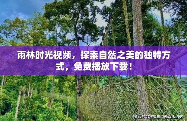 雨林时光视频,探索自然之美的独特方式,免费播放下载!