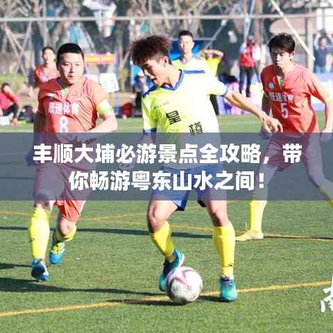 丰顺大埔必游景点全攻略,带你畅游粤东山水之间!