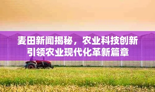 麦田新闻揭秘,农业科技创新引领农业现代化革新篇章