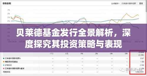 贝莱德基金发行全景解析，深度探究其投资策略与表现