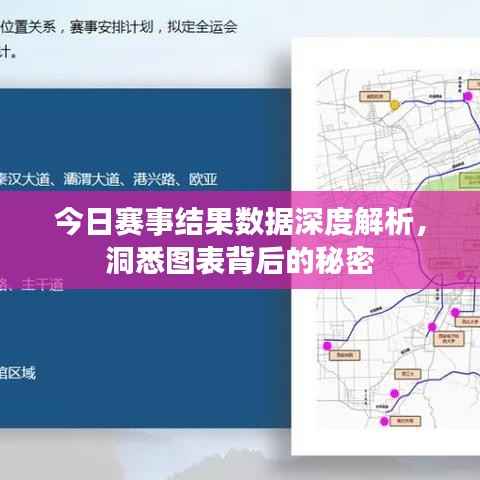 今日赛事结果数据深度解析,洞悉图表背后的秘密