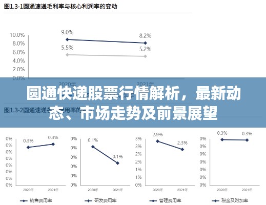 圆通快递股票行情解析,最新动态、市场走势及前景展望