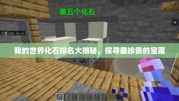 我的世界化石排名大揭秘，探寻最珍贵的宝藏