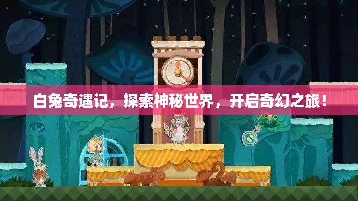 白兔奇遇记,探索神秘世界,开启奇幻之旅!