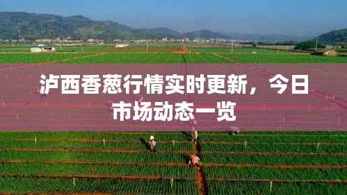 鬼张鬼智 第4页