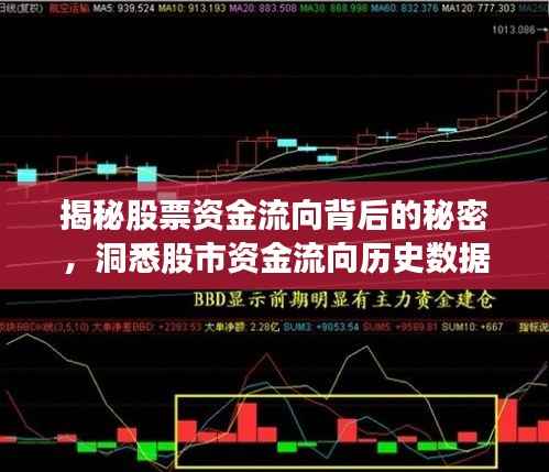揭秘股票资金流向背后的秘密,洞悉股市资金流向历史数据!