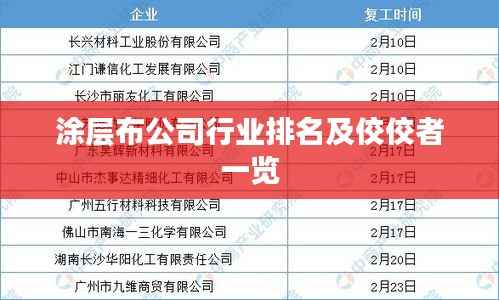 涂层布公司行业排名及佼佼者一览