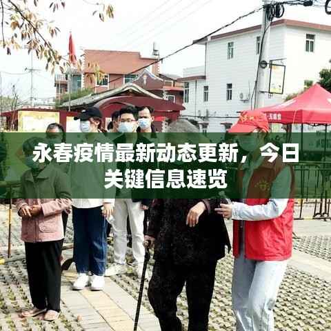 永春疫情最新动态更新,今日关键信息速览