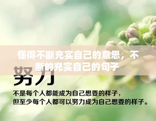 懂得不断充实自己的意思,不断的充实自己的句子
