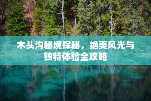 木头沟秘境探秘，绝美风光与独特体验全攻略