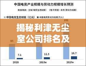 揭秘利津无尘室公司排名及行业影响力,掌握行业风向标!