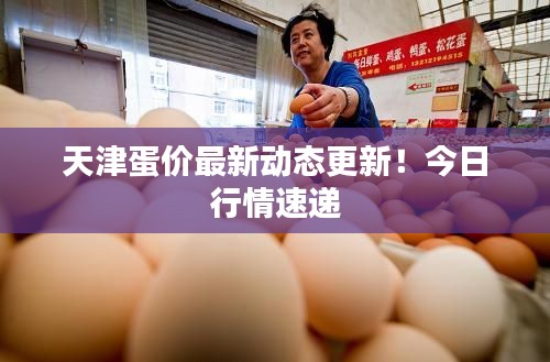 天津蛋价最新动态更新！今日行情速递