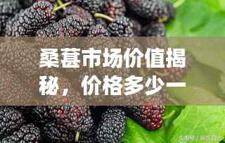 桑葚市场价值揭秘,价格多少一斤?