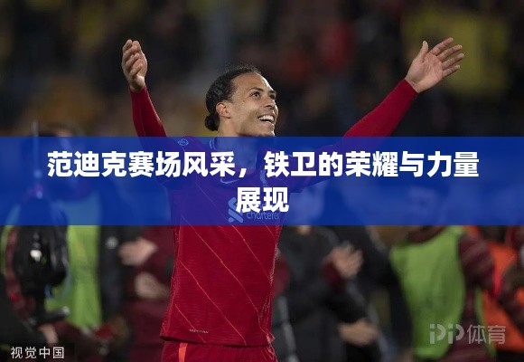 范迪克赛场风采，铁卫的荣耀与力量展现