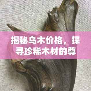 揭秘乌木价格,探寻珍稀木材的尊贵价值