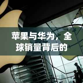 飞箭如蝗 第4页